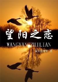 《望阳之恋/魔法师攻掠记》