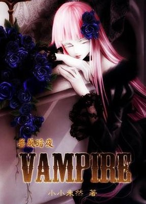 蔷薇暗夜·Vampire