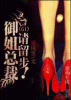 總裁,請留步!