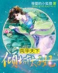凤华天下:倾城太子妃