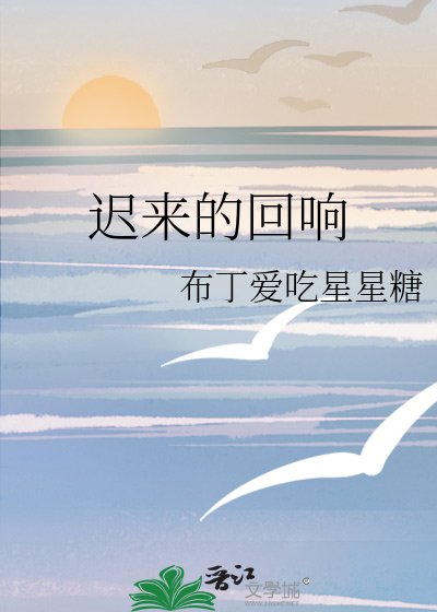 《迟来的回响》