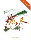 《燃尽》