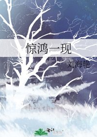 《惊鸿一现》