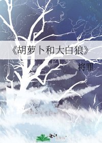 胡萝卜和大白狼