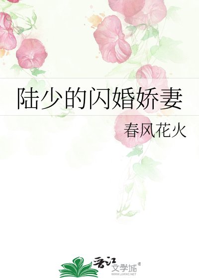 《陆少,你的闪婚妻子又跑路了》