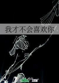 我才不会喜欢你