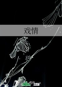 《戲情》
