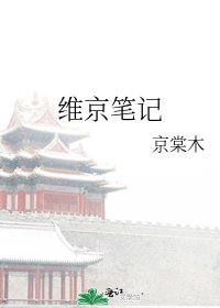 《維京筆記》