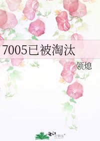 《7005已被淘汰》