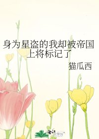 身为星盗的我却被帝国上将标记了