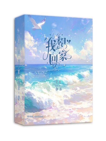 《我想回家》
