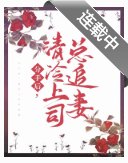 《分手后,清冷上司总追妻》